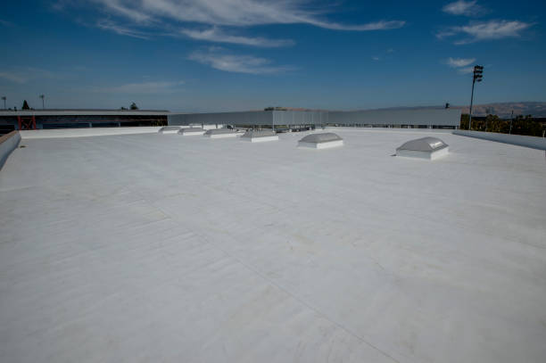Best Skylight Installation and Repair  in Pitman, NJ