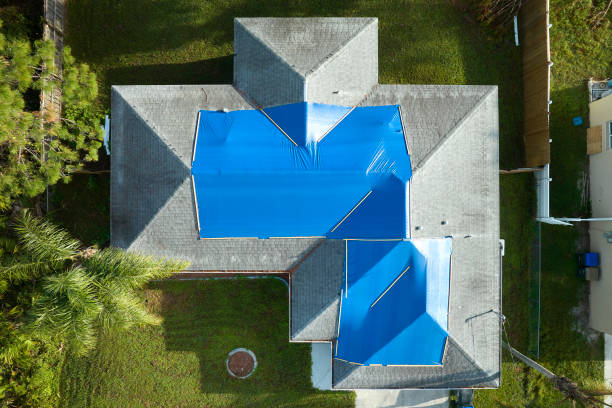 Best Roof Moss and Algae Removal  in Pitman, NJ